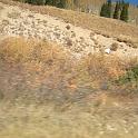 fall09 086